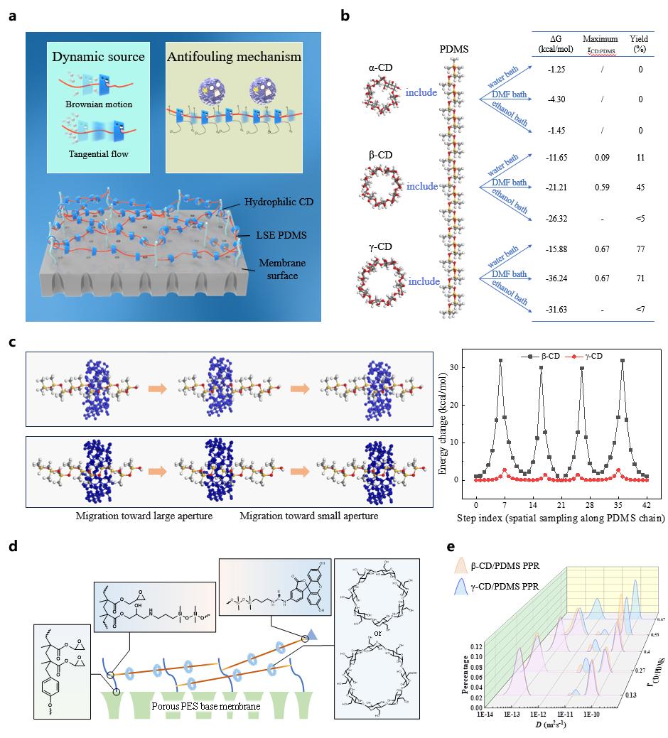 超分子結(jié)構(gòu)與動態(tài)性模擬、表征